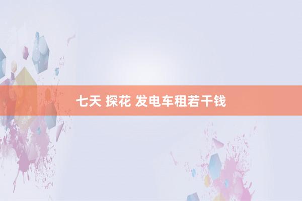 七天 探花 发电车租若干钱