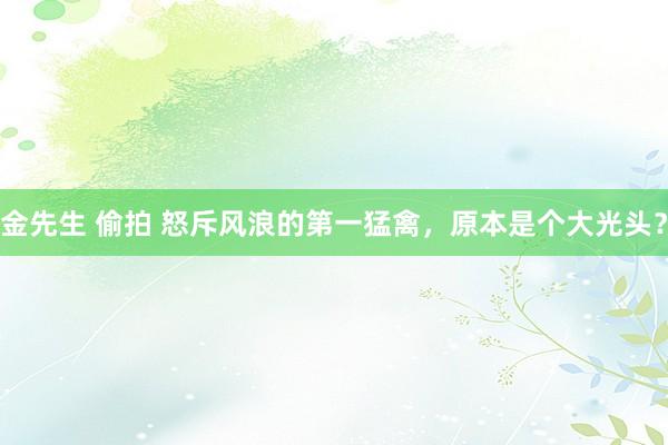 金先生 偷拍 怒斥风浪的第一猛禽，原本是个大光头？