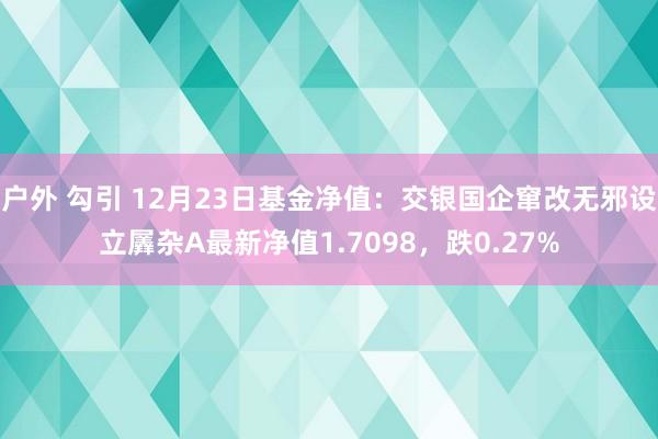 户外 勾引 12月23日基金净值：交银国企窜改无邪设立羼杂A最新净值1.7098，跌0.27%