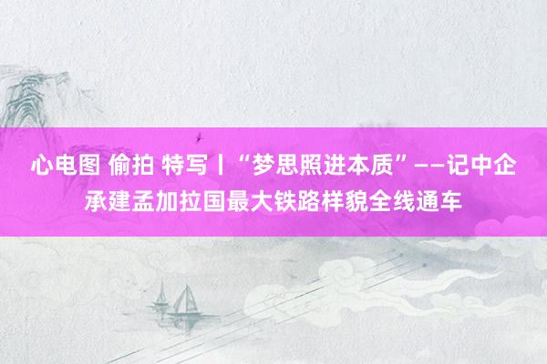 心电图 偷拍 特写丨“梦思照进本质”——记中企承建孟加拉国最大铁路样貌全线通车