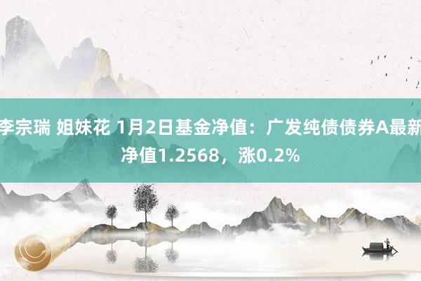 李宗瑞 姐妹花 1月2日基金净值：广发纯债债券A最新净值1.2568，涨0.2%