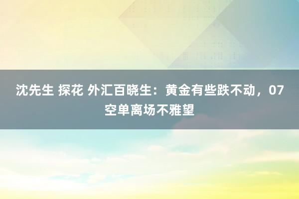 沈先生 探花 外汇百晓生：黄金有些跌不动，07空单离场不雅望