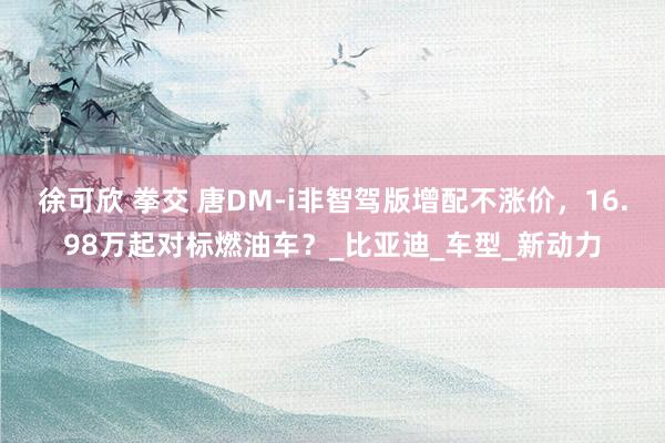 徐可欣 拳交 唐DM-i非智驾版增配不涨价，16.98万起对标燃油车？_比亚迪_车型_新动力