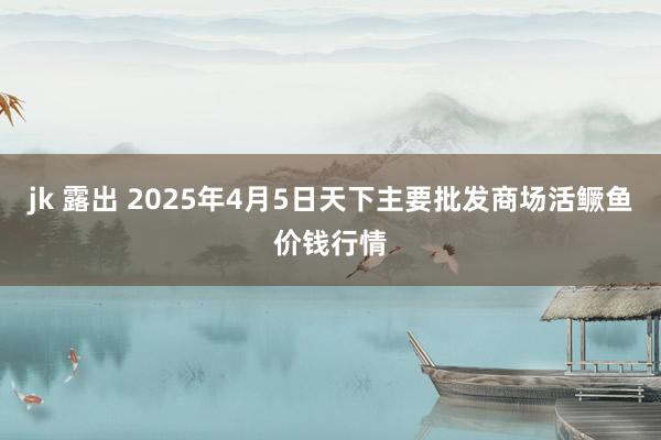 jk 露出 2025年4月5日天下主要批发商场活鳜鱼价钱行情