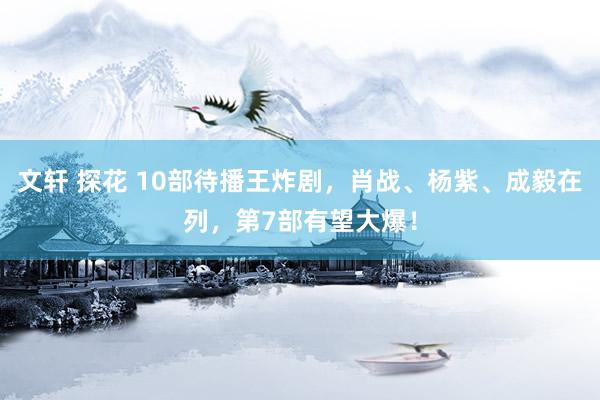 文轩 探花 10部待播王炸剧，肖战、杨紫、成毅在列，第7部有望大爆！
