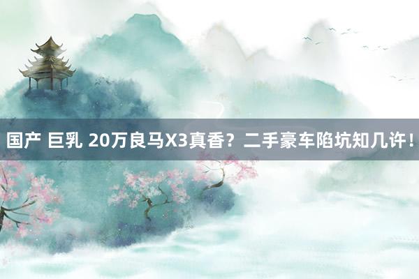 国产 巨乳 20万良马X3真香？二手豪车陷坑知几许！